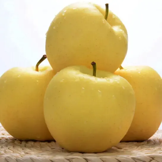 Σπόροι χρυσού μήλου, ποσοστό επιβίωσης 90% - LT