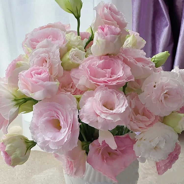 🔥Τελευταία μέρα πώλησης💝Eustoma Thornless Rose💐Σπόροι Lisianthus-GR