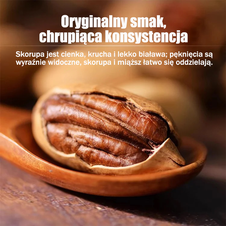 Amerykańskie importowane sadzonki orzecha pekan