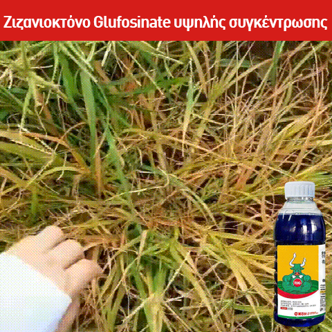 Glufosinátový herbicíd s vysokou koncentráciou 