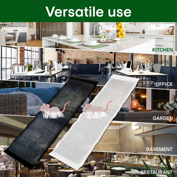 Μεγάλη κολλώδης ποντικοπαγίδα-LT