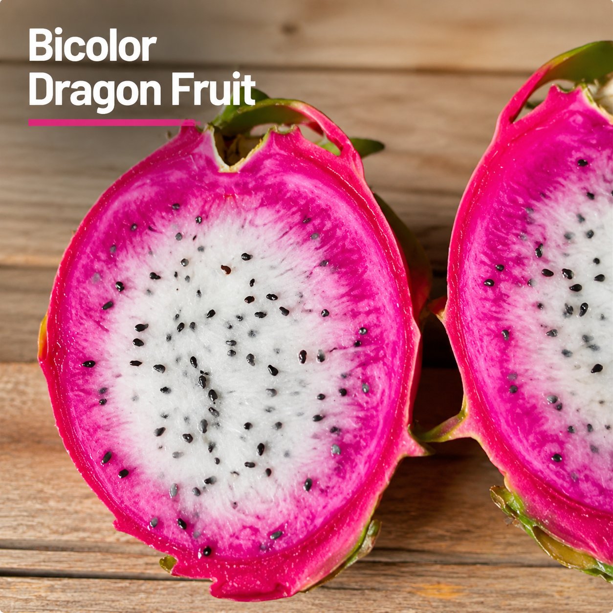 Dragon fruit seedlings – Grow exotic, sweet and delicious dragon fruit at home 🌵