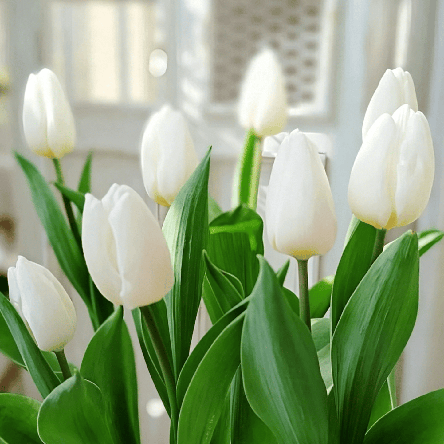 🌷Rzadkie nasiona tulipanów – kolorowe wiosenne kwiaty do doniczek, rabat i ogrodów