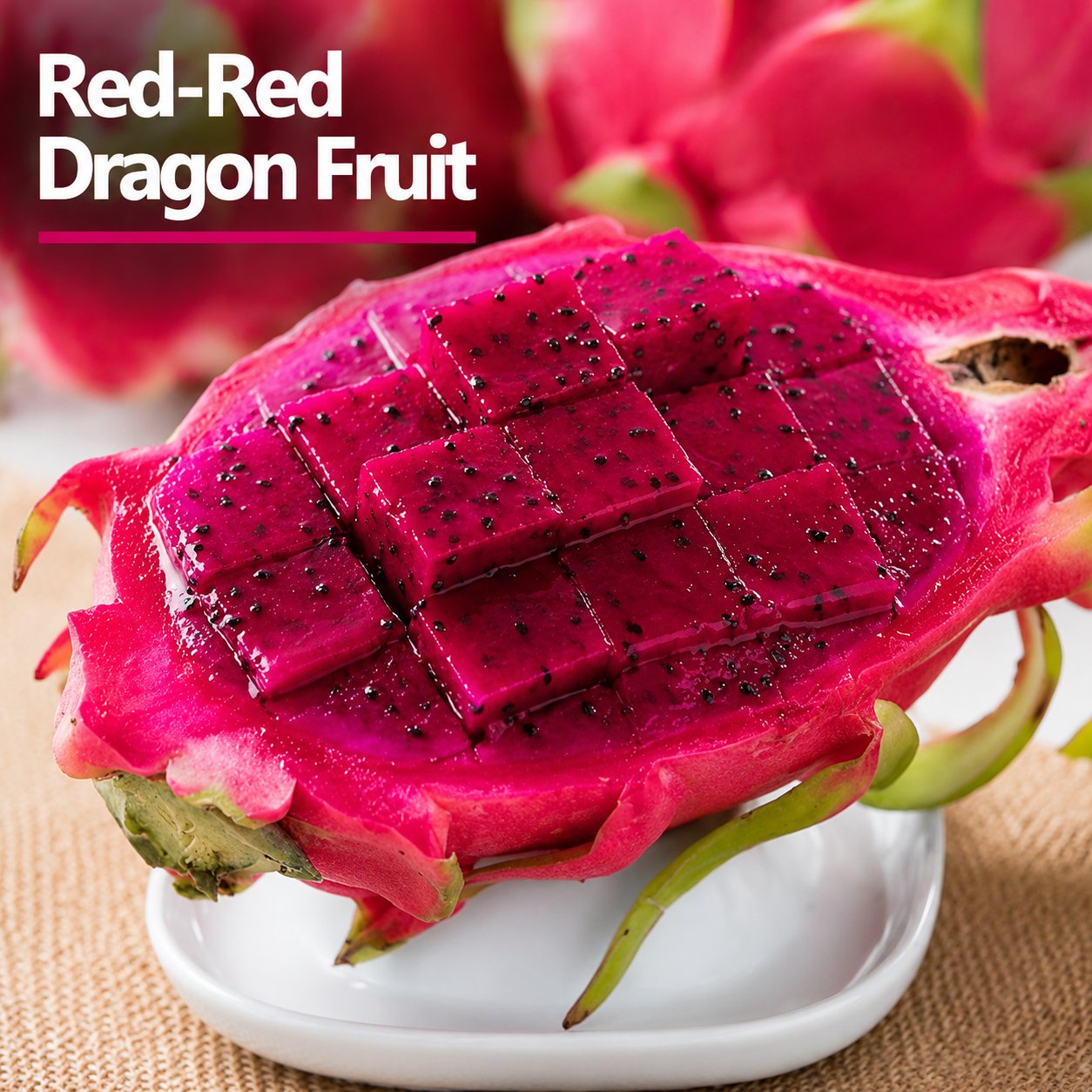 Dragon fruit seedlings – Grow exotic, sweet and delicious dragon fruit at home 🌵