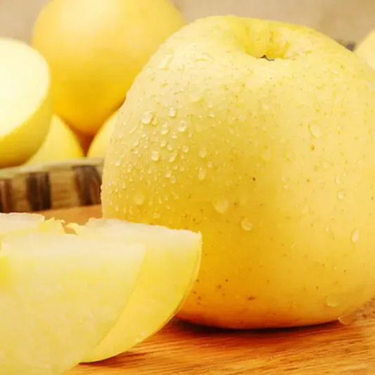 Σπόροι Χρυσής Μήλου, ποσοστό επιβίωσης 90%-GR