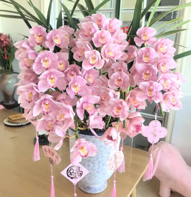 👑 Królowa Orchidei – Długowieczne Cebule Cymbidium