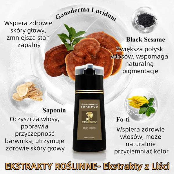 Plaukų šampūnas su momentiniu dažymo efektu - Barzda ir plaukai-LT