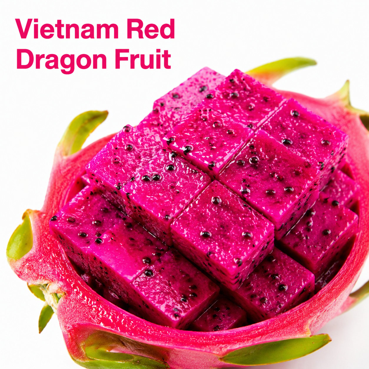 Dragon fruit seedlings – Grow exotic, sweet and delicious dragon fruit at home 🌵
