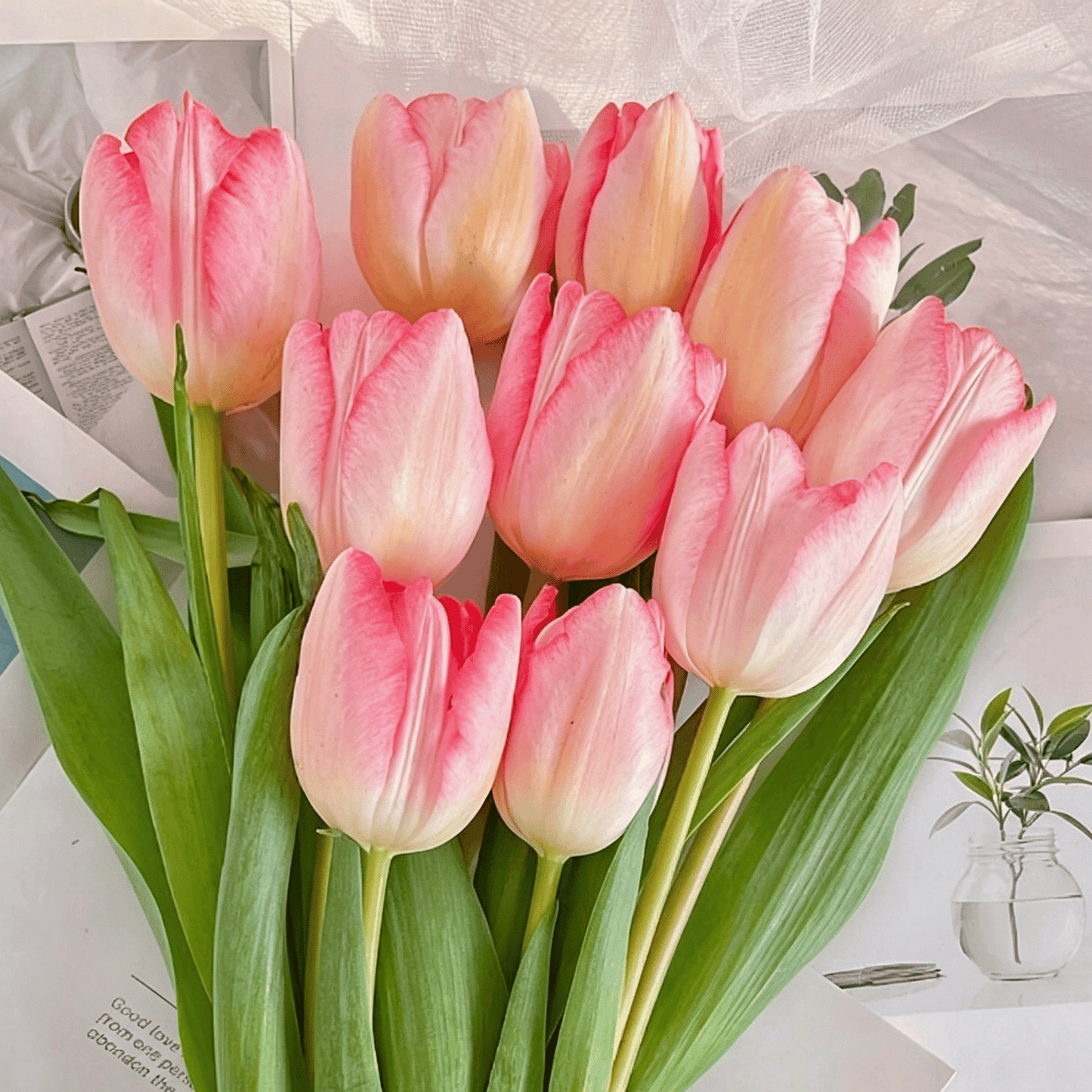 🌷Rzadkie nasiona tulipanów – kolorowe wiosenne kwiaty do doniczek, rabat i ogrodów