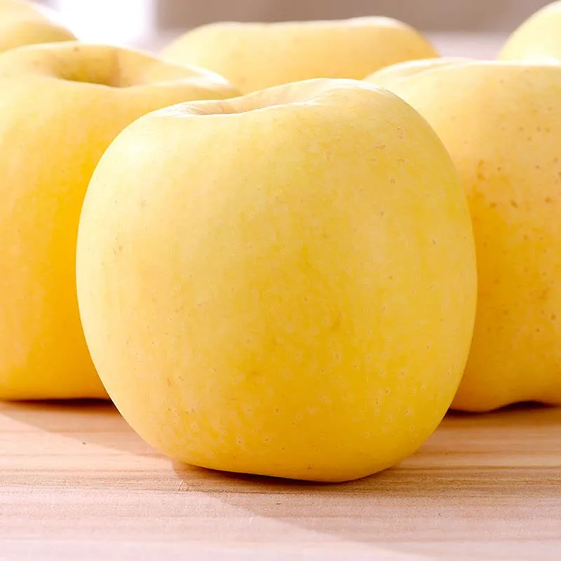 Σπόροι χρυσού μήλου, ποσοστό επιβίωσης 90% - LT 