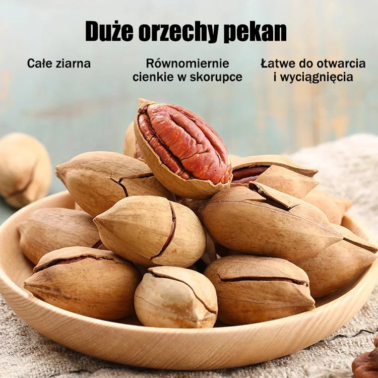 Amerykańskie importowane sadzonki orzecha pekan