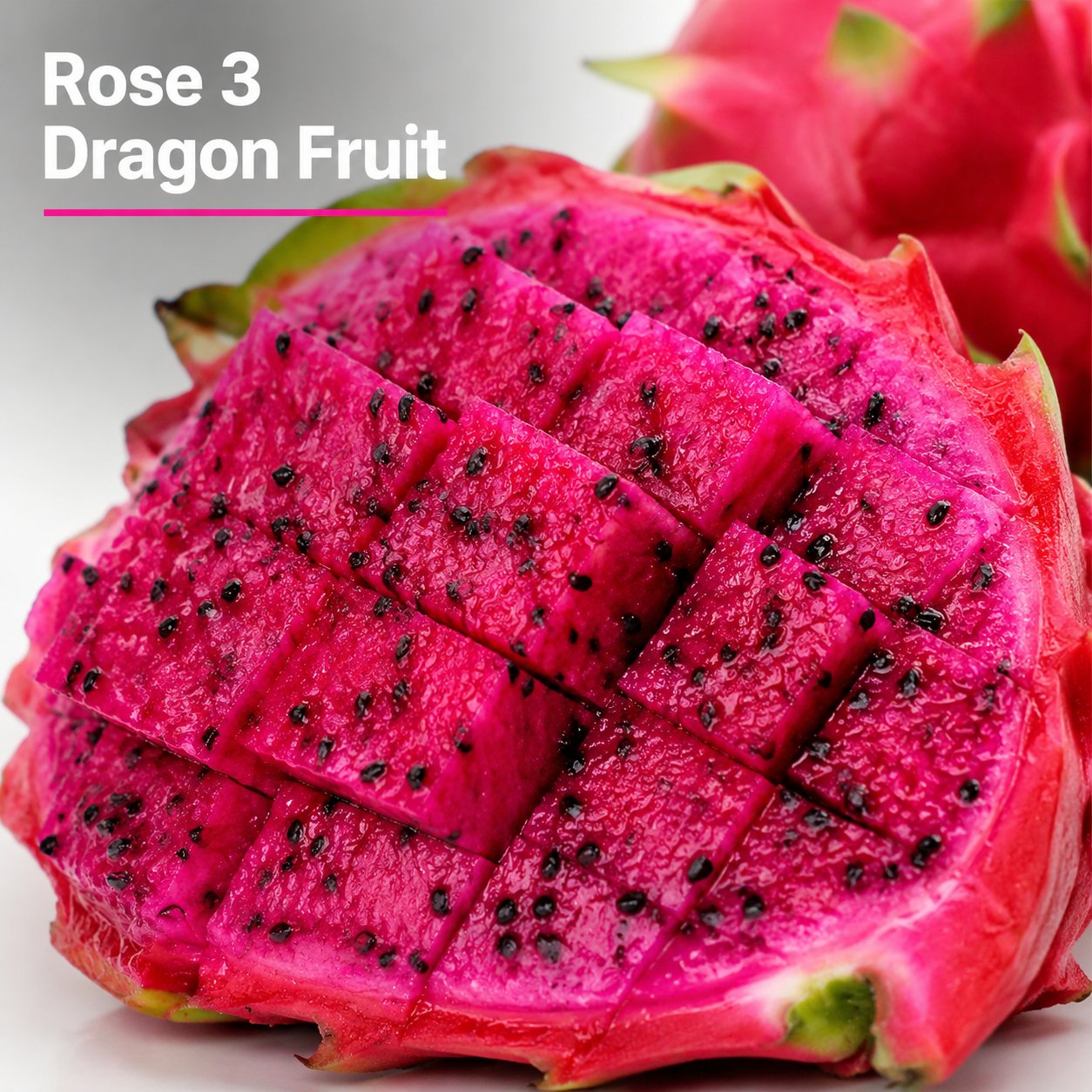 Dragon fruit seedlings – Grow exotic, sweet and delicious dragon fruit at home 🌵