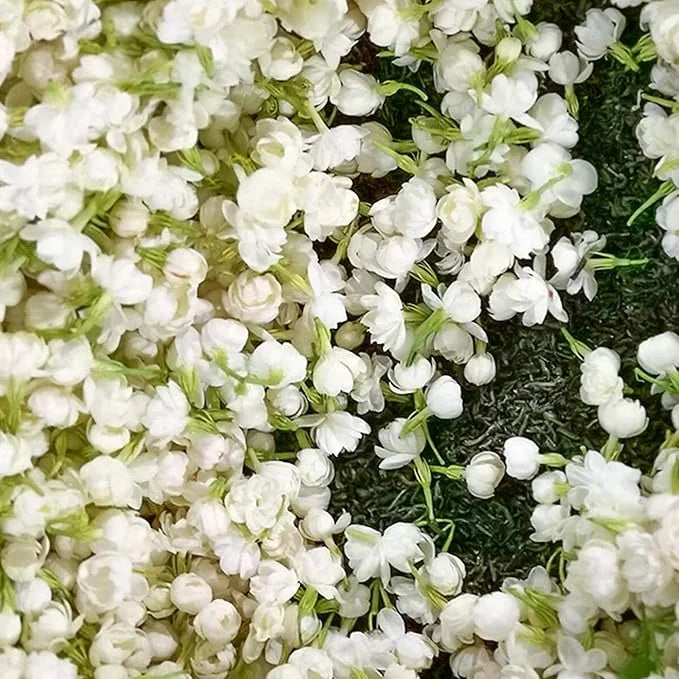 OSTATNI DZIEŃ PROMOCJI - 35% ZNIŻKI 🌸 Roślina doniczkowa Jaśmin (🌱Gwarancja przetrwania: Darmowa wymiana🌿)