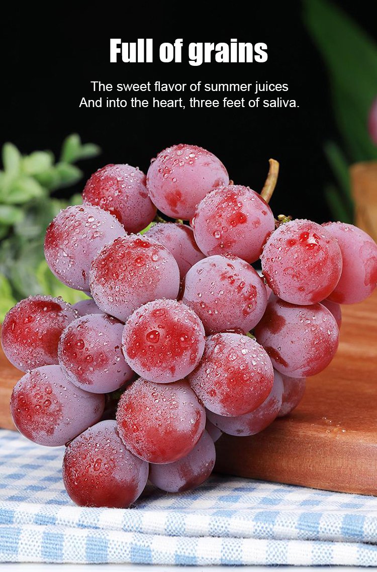 Σπόροι σταφυλιού Queen Nina με φυσική γεύση κρασιού-GR