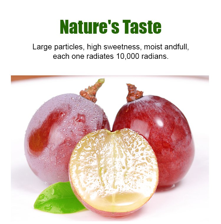 Σπόροι σταφυλιού Queen Nina με φυσική γεύση κρασιού-GR