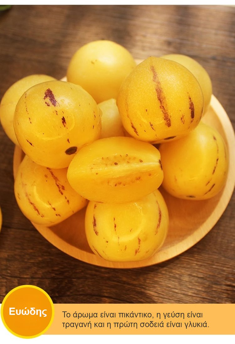 Μειωτικός ζάχαρης και πίεσης γάλακτος αρωματικός κίτρινος καρπός μπονσάι τζίνσενγκ-GR