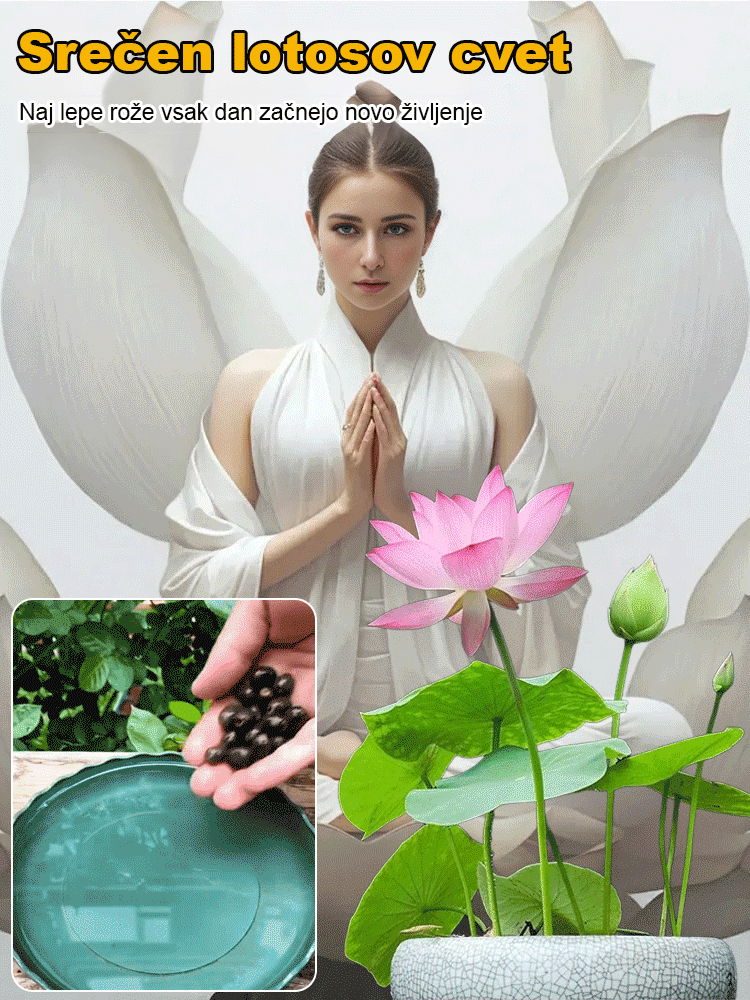 【Pretovarjanje sreče】 Okrasna hidroponska skleda lotos-SI