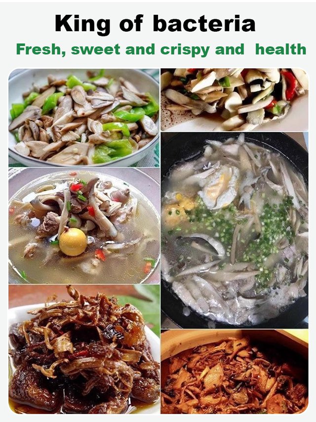 Αυθεντική ποικιλία μανιταριών "Jizong"-GR