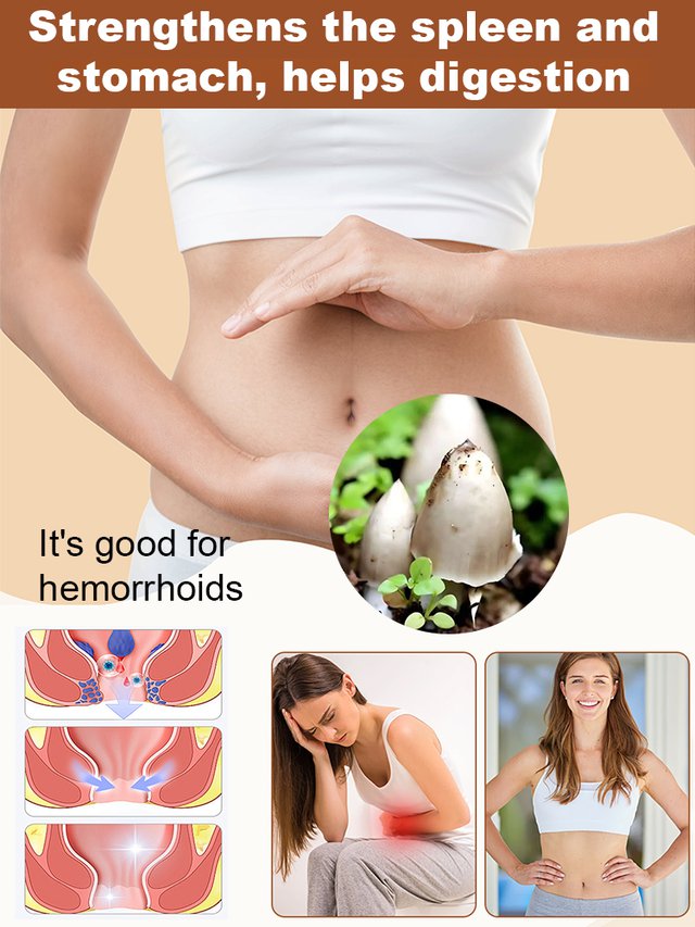 Autentiška „Jizong“ grybų veislė-LT