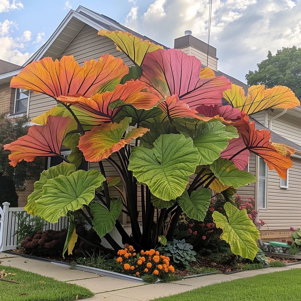 🌿Συναρπαστικό Γιγάντιο Καλάδιο🌈-GR