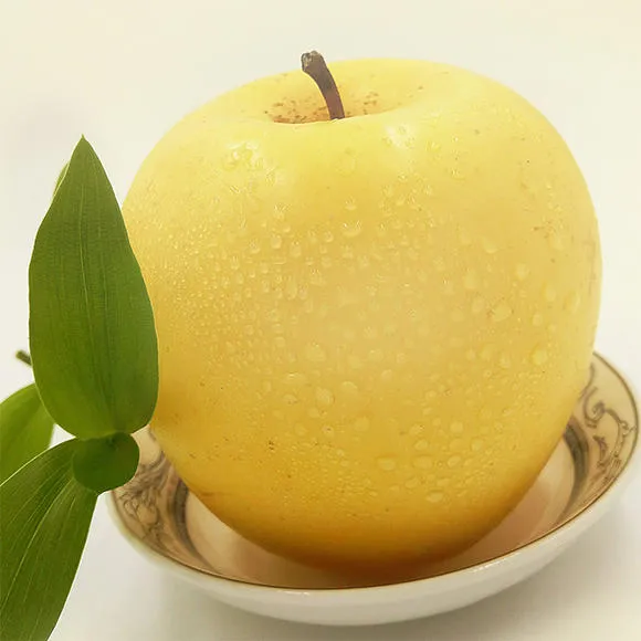 Σπόροι Χρυσής Μήλου, ποσοστό επιβίωσης 90%-GR