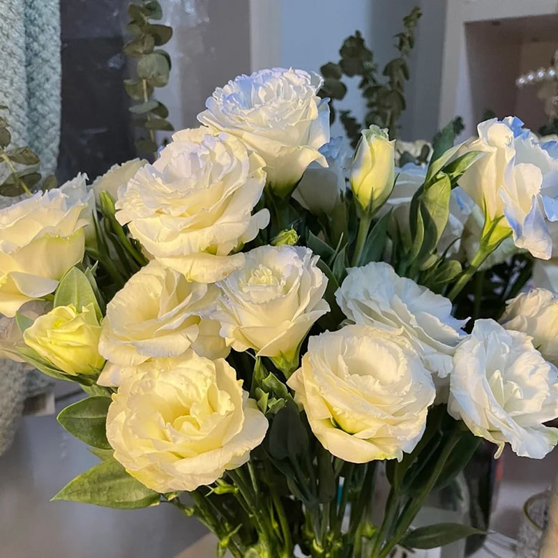 🔥Ostatni dzień wyprzedaży💝Eustoma Thornless Rose💐Lisianthus Seeds