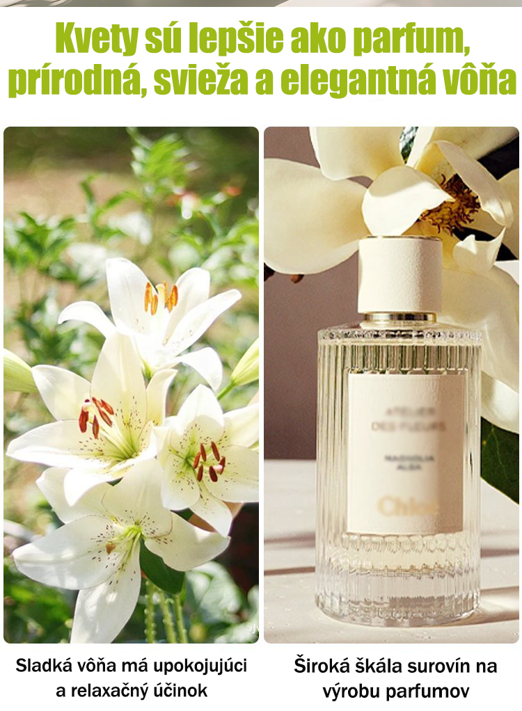 [Voňavejšie ako parfum]Cibuľky ľalií Four Seasons voňajú tisíce kilometrov ďaleko, kvitnú každý rok-SK