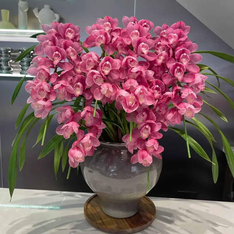 👑 Królowa Orchidei – Długowieczne Cebule Cymbidium