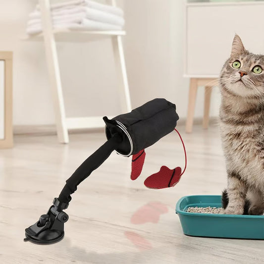 Interaktyvus traukinio formos katės žaislas-LT