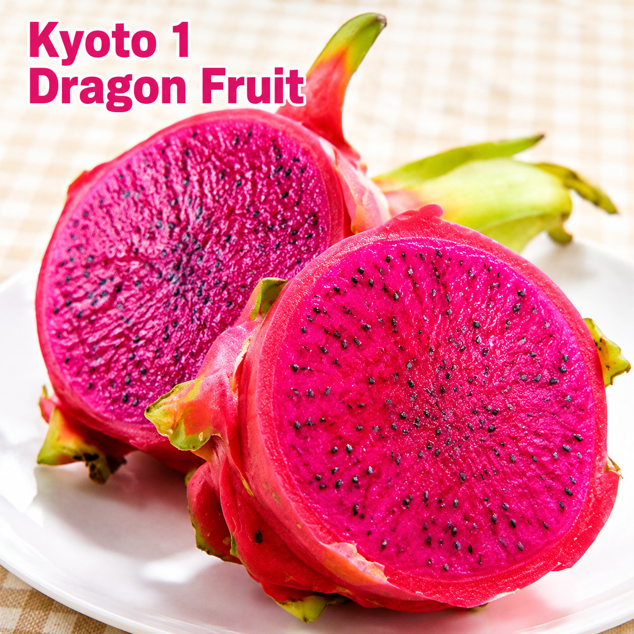 Dragon fruit seedlings – Grow exotic, sweet and delicious dragon fruit at home 🌵