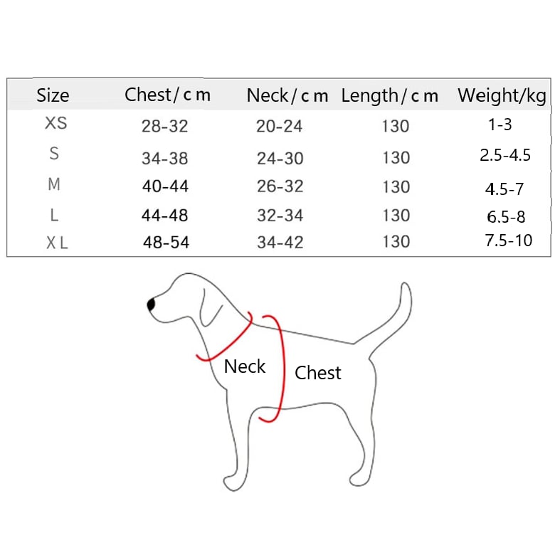 Augintinio pavadėlis su krūtinės diržu ir diržu-LT