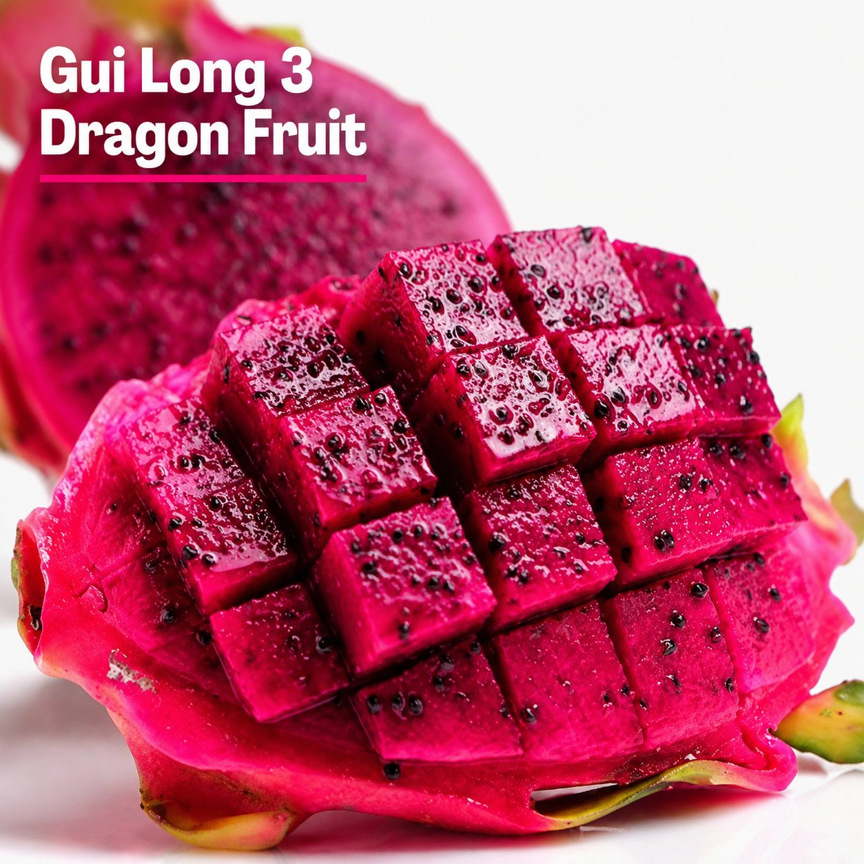 Dragon fruit seedlings – Grow exotic, sweet and delicious dragon fruit at home 🌵