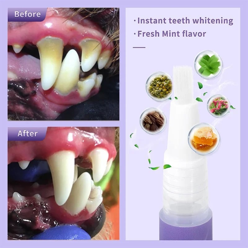 🌈Gél na obnovu ústnej dutiny domácich miláčikov-SK