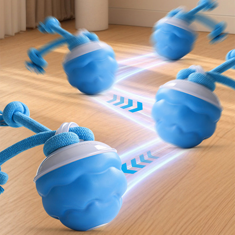 🐶Interaktyvus elektroninis raminamasis kamuoliukas augintiniams-LT