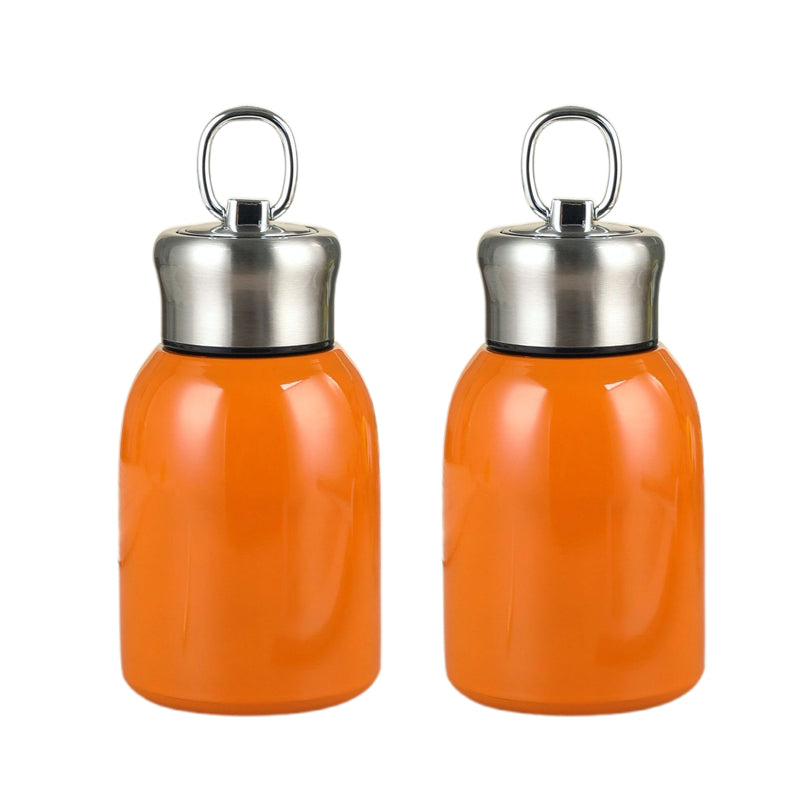 Stilingas ir nešiojamas izoliuotas vandens butelis-LT