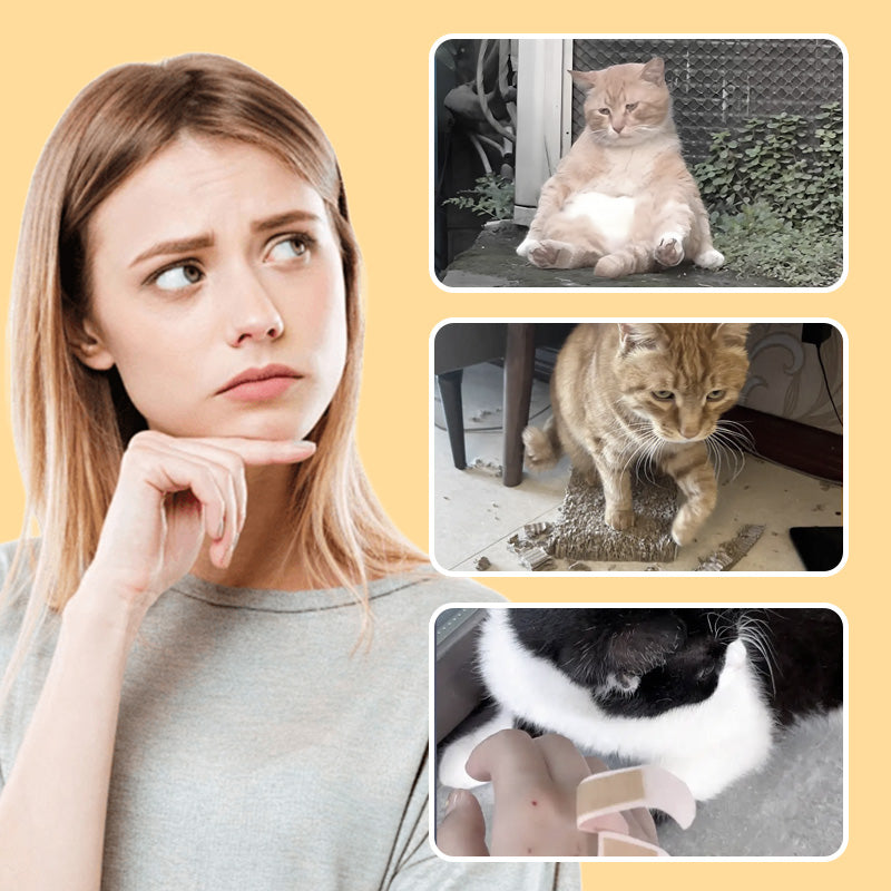 【🔥Kup 1 i otrzymaj 1 gratis】🐭Małe zabawki myszy dla kotów i psów