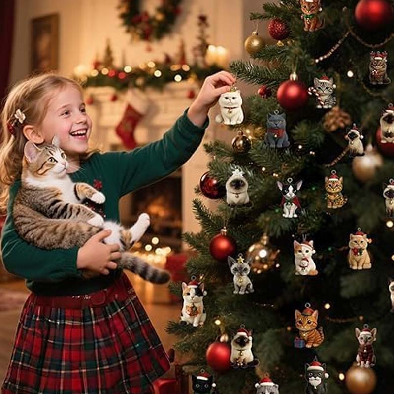 【🎁Kalėdinis pasiūlymas🎄】Advento kalendorius kačių mylėtojams 2025-LT