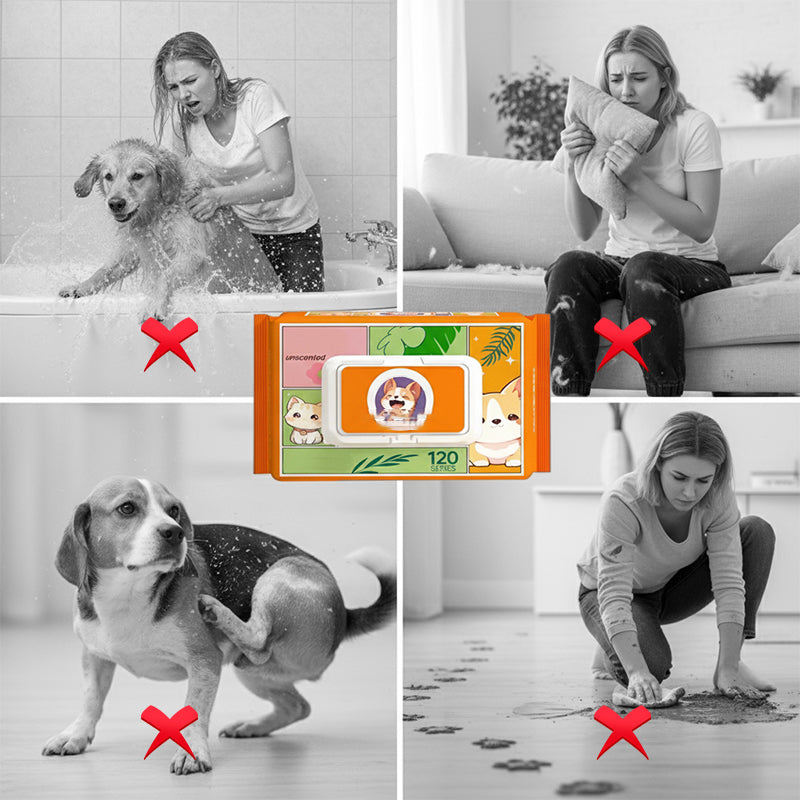 🐱Chusteczki do pielęgnacji zwierząt domowych, rękawiczki, nie wymagają płukania🐶